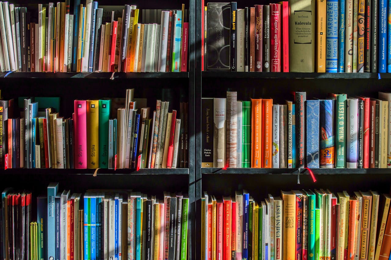 why-choose-us Vibrant collection of books on shelves for reading, research, and education.